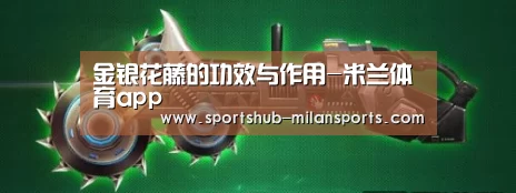 金银花藤的功效与作用-米兰体育app(图3) 米兰体育app