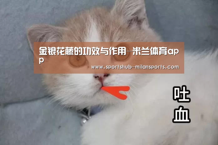 金银花藤的功效与作用-米兰体育app(图4) 米兰体育app