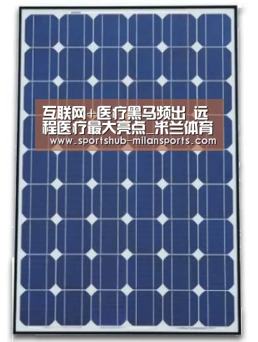 互联网+医疗黑马频出 远程医疗最大亮点_米兰体育平台(图3) 米兰体育平台
