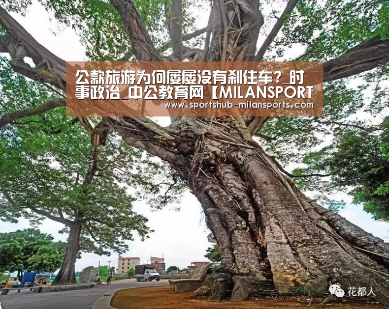 米兰体育平台