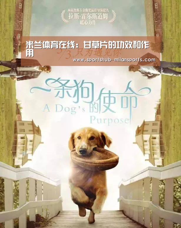 米兰体育在线:甘草片的功效和作用(图1) 米兰体育在线